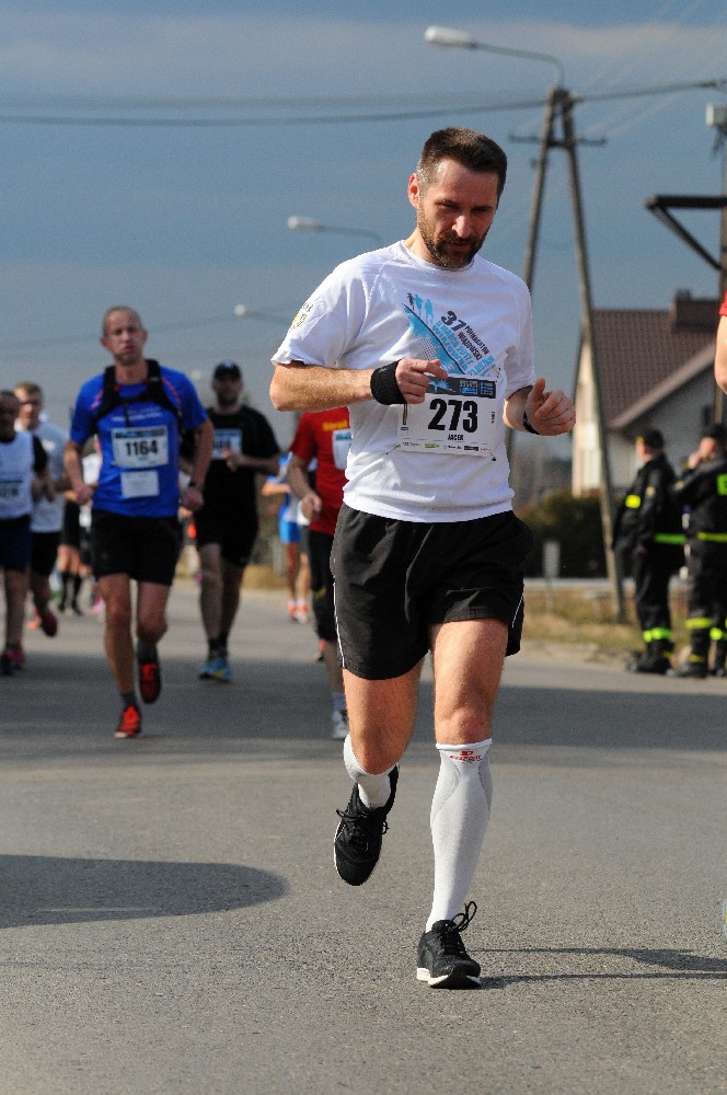 Półmaraton w Wiązownej 2017; źródło - FotoMaraton.pl